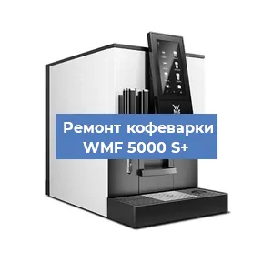 Замена дренажного клапана на кофемашине WMF 5000 S+ в Красноярске